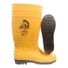 Sapro Boots
