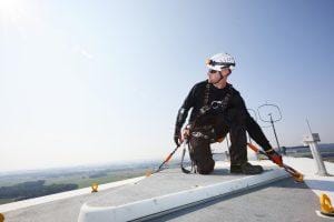 body harness