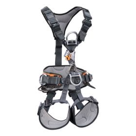 Gryphon ascencder